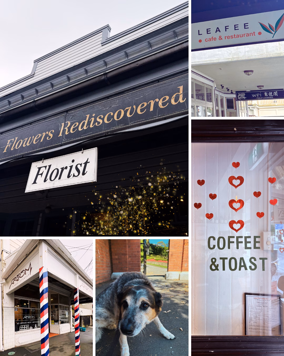 locally owned funeral home