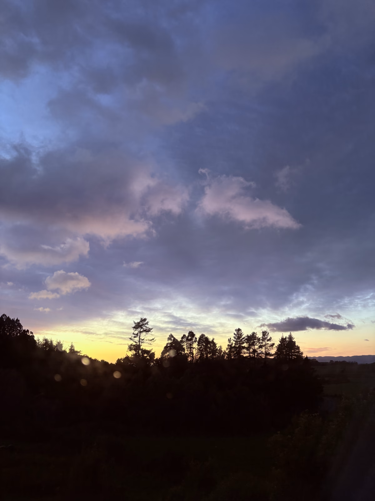 matariki skies